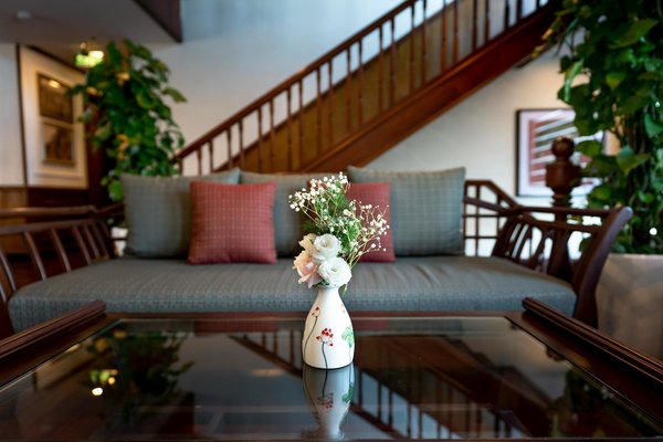 Finding harmony: how digital detox retreats enhance stress relief and supercharge productivity