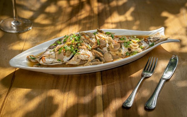 Transforming sports coaching: the game-changing impact of augmented reality on real-time performance